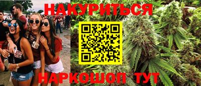 стаф Новокубанск