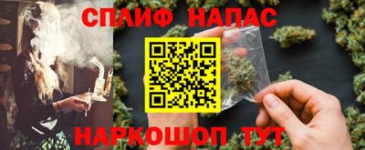 стаф Новокубанск