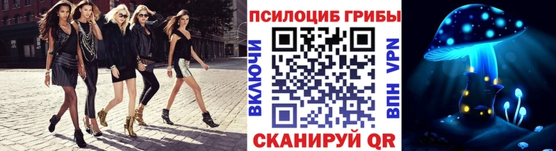 Псилоцибиновые грибы мицелий  blacksprut как войти  Тавда 
