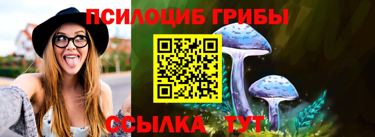 Псилоцибиновые грибы Magic Shrooms Тавда